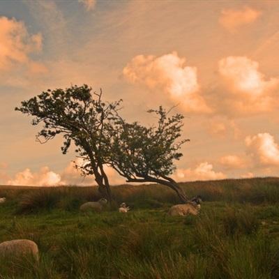 53岁独身女子去世留下600万遗产